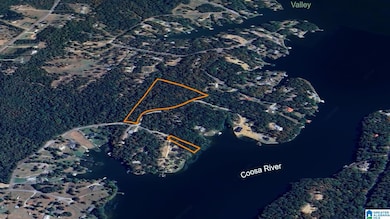 0 Gibson Cove Dr unit 7.10 Acres Plus . 58, Ashville, AL 35953 - photo 6