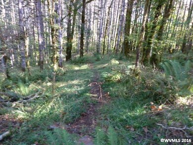 24293 Columbine Dr, Philomath, OR 97370 - photo 4