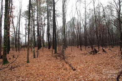 4+/-AC LOT 5 Milo Neal Rd, Kings Mountain, NC 28086 - photo 3