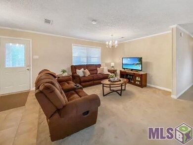 14640 Brightview Ct, Baton Rouge, LA 70819 - photo 4