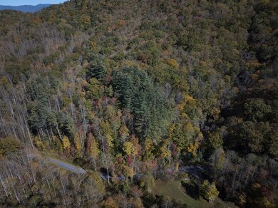 0 Treehouse Rd unit 26042720, Whittier, NC 28789 - photo 3