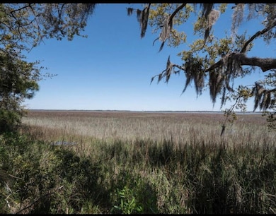 Lot 22 Hopkins Place Dr, Edisto Island, SC 29438 - photo 4