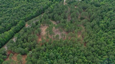 View of property location with a forest
