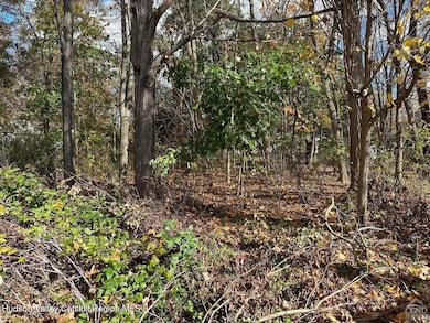 00 Taft Rd, Copake, NY 12516 - photo 3