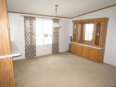 2020 Threemile Rd, Alamosa, CO 81101 - photo 6