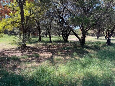 4605 Valley View Cir, Weatherford, TX 76087 - photo 3