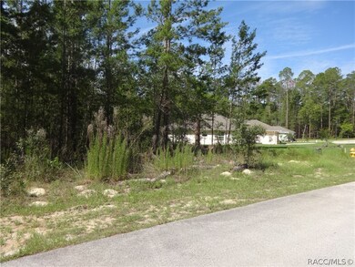 3 Viola Ct, Homosassa, FL 34446 - photo 4