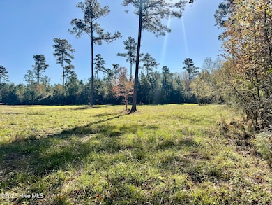 0 Near 4294 James B Wh, Whiteville, NC 28472 - photo 4