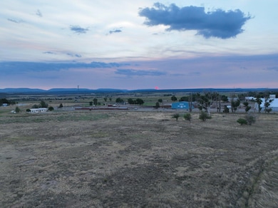 105 S Place, Norwood, CO 81423 - photo 7