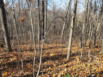 9560 Madison, Red Star, AR 72752 - photo 3