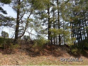 396 Browntown Rd, Leicester, NC 28748 - photo 4