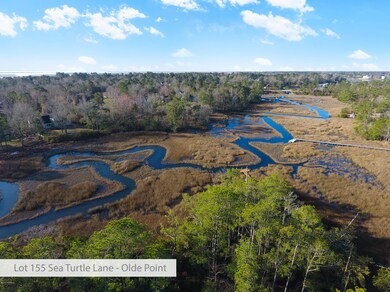 Lot 155 Sea Turtle Lane-01