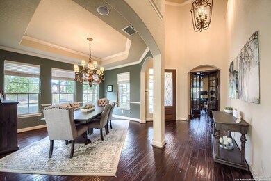 3847 Ox-Eye Daisy, San Antonio, TX 78261 - photo 5