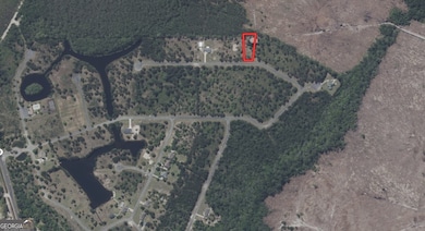 0 Big Horse Dr unit 83, Waynesville, GA 31566 - photo 3