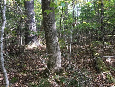 19-X Streamview Dr, Harmony, ME 04942 - photo 7