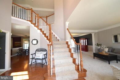 42350 Equality St, Chantilly, VA 20152 - photo 4