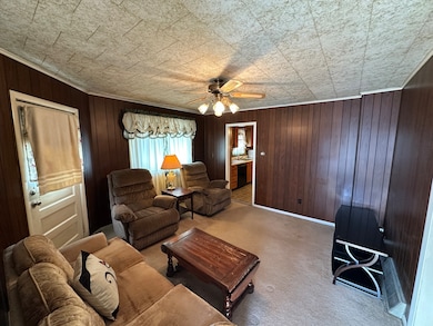 904 E Bridge St, Streator, IL 61364 - photo 2