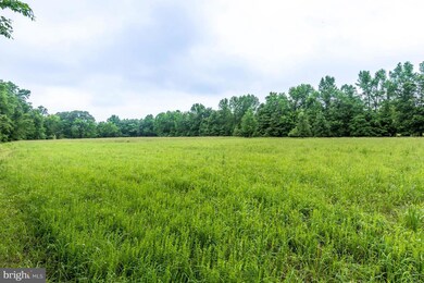 202 Surrey Ln, Queenstown, MD 21658 - photo 5