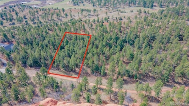 8257 Bannock Dr, Larkspur, CO 80118 - photo 3