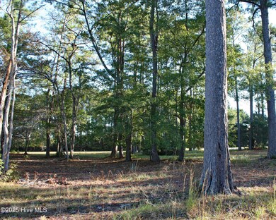 598 Lindgrove Place SW, Ocean Isle Beach, NC 28469 - photo 5