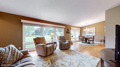 Large Picture Windows
