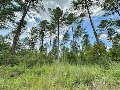 + - 195 Acres unit Hinds County MS, Utica, MS 39170 - photo 2