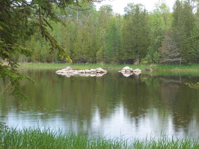 Pond view