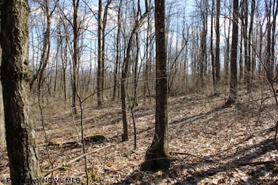 Lot 2 Sand Bank Heights Rd, Masontown, WV 26542 - photo 2