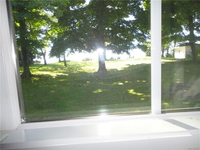 VIEW OF THE LAKE