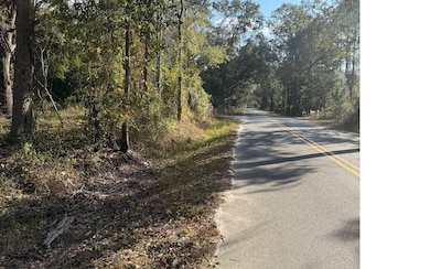 8694 93rd Rd, Live Oak, FL 32060 - photo 2