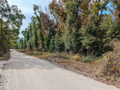 0 NE 765th St, Old Town, FL 32680 - photo 5