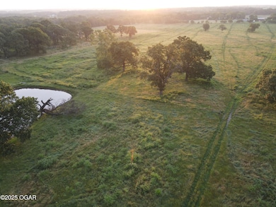 0000 Gazelle Dr, Neosho, MO 64850 - photo 3