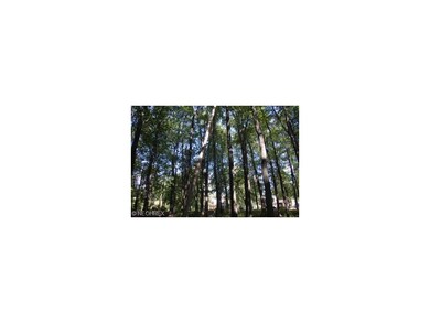 Beautiful mature trees on double lot.