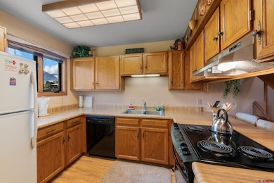15 Marcellina Ln unit 120, Crested Butte, CO 81225 - photo 3