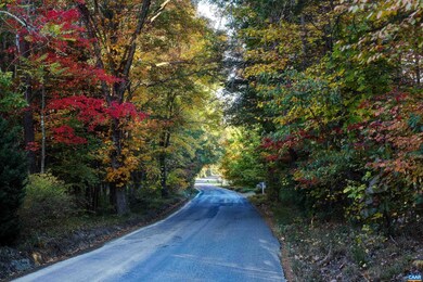 4676 Wesley Chapel Rd, Free Union, VA 22940 - photo 4