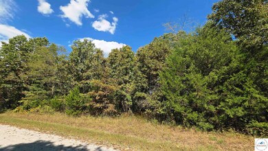 Lot 2172 Forbes Fay Rd, Edwards, MO 65326 - photo 4