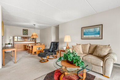 144 Marble St unit 506, Stoneham, MA 02180 - photo 5