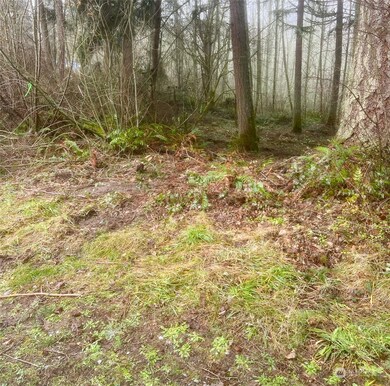 36114 108th Avenue Ct E, Clear Lake, WA 98328 - photo 2