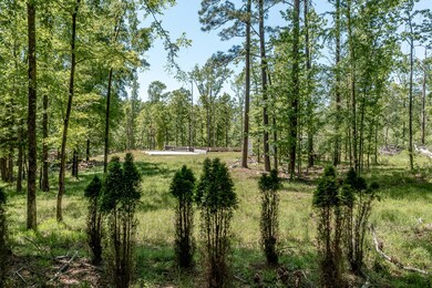 1250 Mosley Rd, Lincolnton, GA 30817 - photo 4