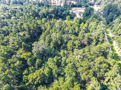 28400 Sweetgum Rd, Magnolia, TX 77354 - photo 7