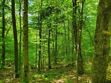 7 Pike Hill Rd, Hebron, NH 03241 - photo 4