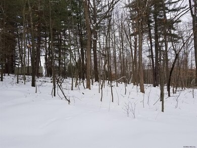 0 Klein Rd unit 202111810, Taghkanic, NY 12523 - photo 3