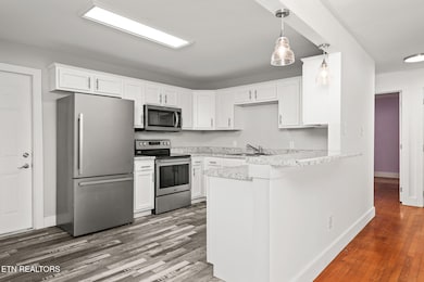 287 Watson Ave, Spring City, TN 37381 - photo 5