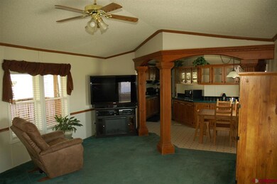S Road 112 6, Alamosa, CO 81101 - photo 4