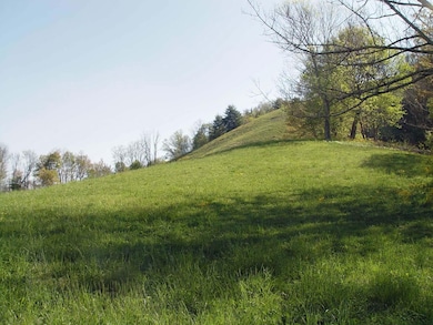 0 Tbd Beechwood Rd unit 25, Clyde, NC 28721 - photo 6