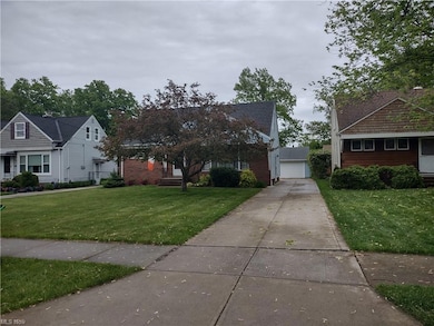 Newer Drive way