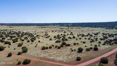 DJI_0040-HDR