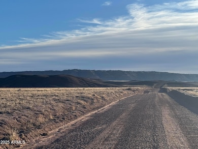 Lot #35 Bonito Valley Ranch -- unit 35, Saint Johns, AZ 85936 - photo 2