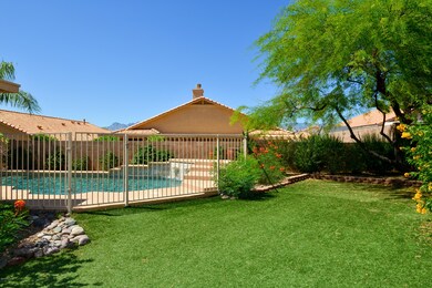 Gorgeous Backyard!