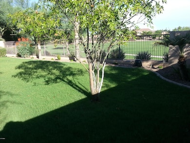 Shadey Backyard